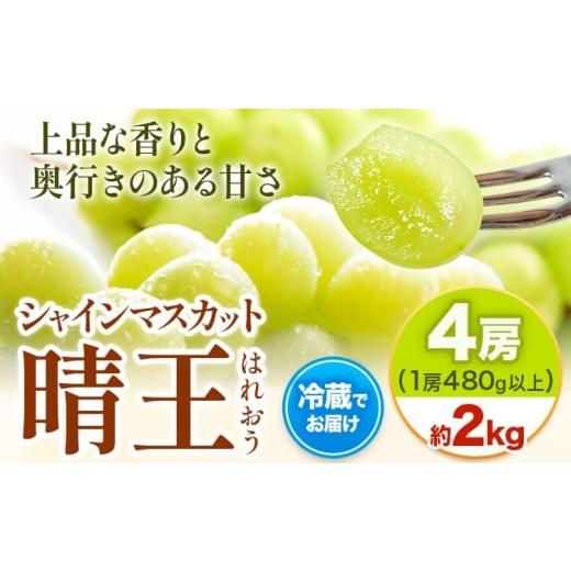 ふるさと納税 ぶどう マスカット 岡山県 笠岡市 2026年先行予約 シャインマスカット 晴王 はれおう 4房(1房480g以上) 約2kg 株式会社山博[2026年8月下旬-10…