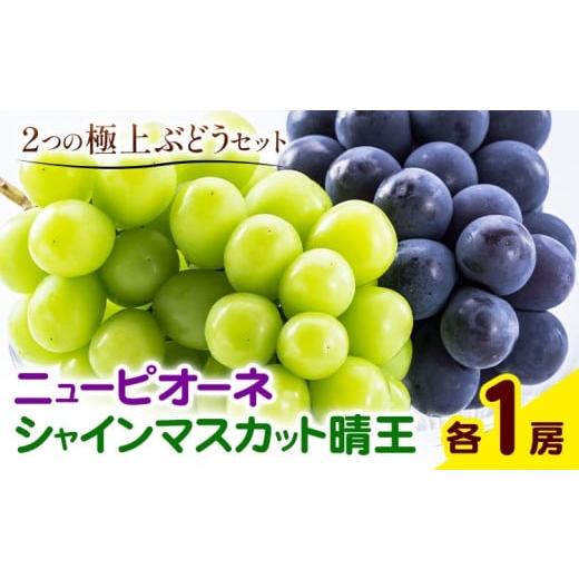 ふるさと納税 果物類 ぶどう 岡山県 笠岡市 ぶどう 詰合 ニューピオーネ1房(1房480g以上) シャインマスカット 晴王 1房(1房480g以上) 化粧箱入り 株式会社山博…
