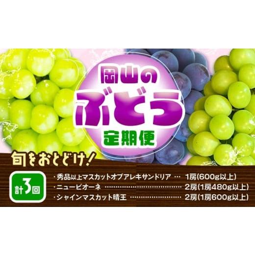 ふるさと納税 ぶどう マスカット 岡山県 笠岡市 3回定期便 ぶどう 定期便 計3回コース 岡山県産 シャインマスカット 晴王 ニューピオーネ マスカットオブアレ…