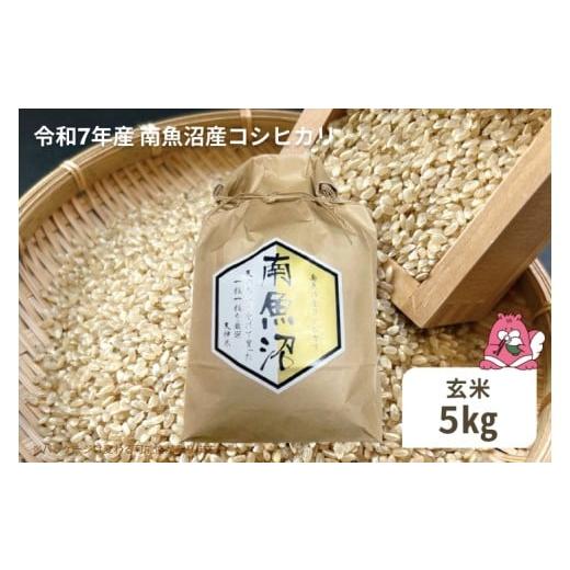 ふるさと納税 米 コシヒカリ 新潟県 湯沢町 令和7年産 5kg[玄米]越後湯沢産 南魚沼産 コシヒカリ 豪雪を源とする水の恵み 湯沢産 コシヒカリ