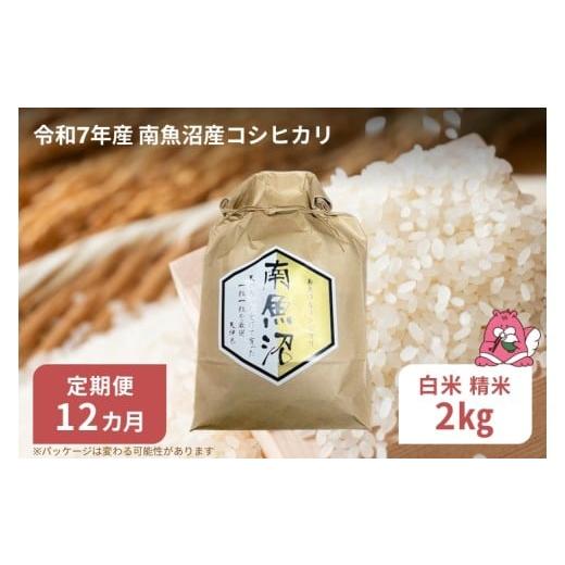 ふるさと納税 米 コシヒカリ 新潟県 湯沢町 令和7年産 12か月定期便 白米2kg/12回 越後湯沢産 南魚沼産 コシヒカリ 豪雪を源とする水の恵み 湯沢産 コシヒカ…