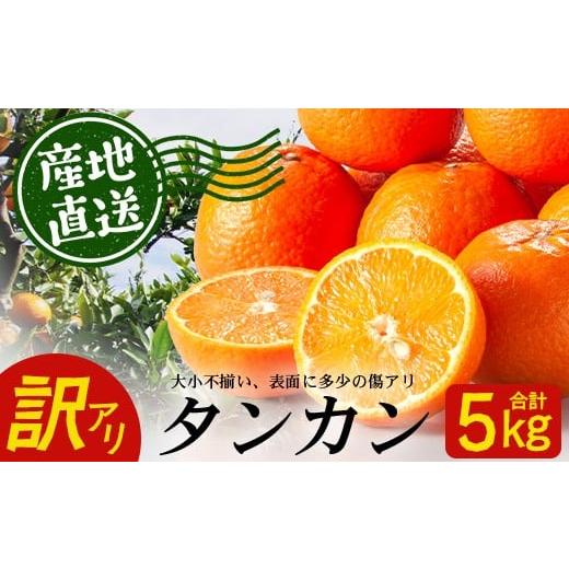 ふるさと納税 みかん・柑橘類 鹿児島県 南大隅町 訳あり [先行予約]南大隅の太陽浴びた甘くて・おいしい タンカン 約5kg 数量限定 &lt;2026年2月中旬以降順…