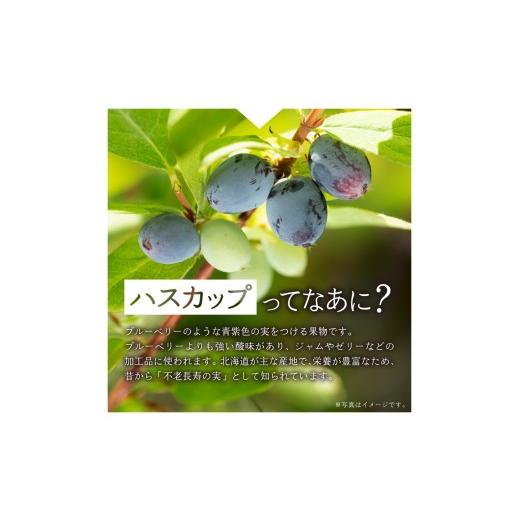 ふるさと納税 水・ミネラルウォーター 500mL〜999mL 北海道 札幌市  ２ヶ月定期便 い・ろ・は・す ハスカップ 540mlPET×48本｜コカ・コーラ 飲料 ドリンク …の画像