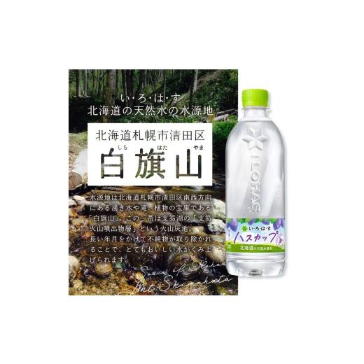 ふるさと納税 水・ミネラルウォーター 500mL〜999mL 北海道 札幌市  ２ヶ月定期便 い・ろ・は・す ハスカップ 540mlPET×48本｜コカ・コーラ 飲料 ドリンク …の画像