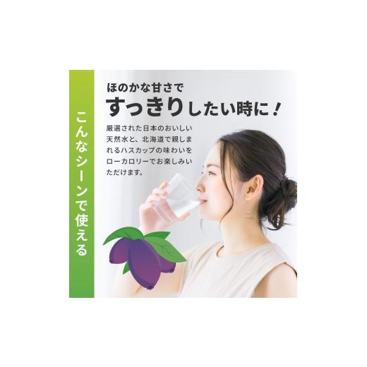 ふるさと納税 水・ミネラルウォーター 500mL〜999mL 北海道 札幌市  ２ヶ月定期便 い・ろ・は・す ハスカップ 540mlPET×48本｜コカ・コーラ 飲料 ドリンク …の画像