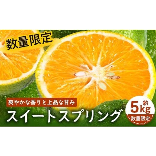 ふるさと納税 みかん・柑橘類 オレンジ 鹿児島県 南大隅町 先行予約 数量限定 鹿児島県南大隅町産 スイートスプリング 約5kg 2025年12月中旬以降順次発送 SK-…
