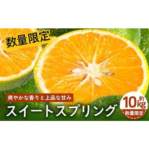 ふるさと納税 みかん・柑橘類 オレンジ 鹿児島県 南大隅町 先行予約 数量限定 鹿児島県南大隅町産 スイートスプリング 約10kg 2025年12月中旬以降順次発送 SK…