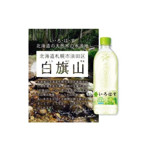 ふるさと納税 水・ミネラルウォーター 500mL〜999mL 北海道 札幌市  ２ヶ月定期便 い・ろ・は・す シャインマスカット540mlPET×48本｜コカ・コーラ 飲料 ドリ…の画像