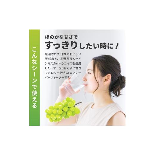 ふるさと納税 水・ミネラルウォーター 500mL〜999mL 北海道 札幌市  ２ヶ月定期便 い・ろ・は・す シャインマスカット540mlPET×48本｜コカ・コーラ 飲料 ドリ…の画像