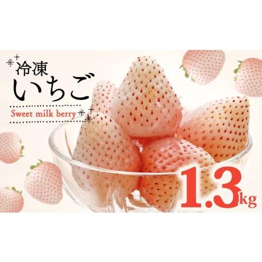 ふるさと納税 いちご 静岡県 牧之原市 冷凍いちご 白いちご 計 1.3kg sweet milk berry 高級 イチゴ 苺 セット フルーツ 果物 ストロベリー 国産 スイーツ デ…