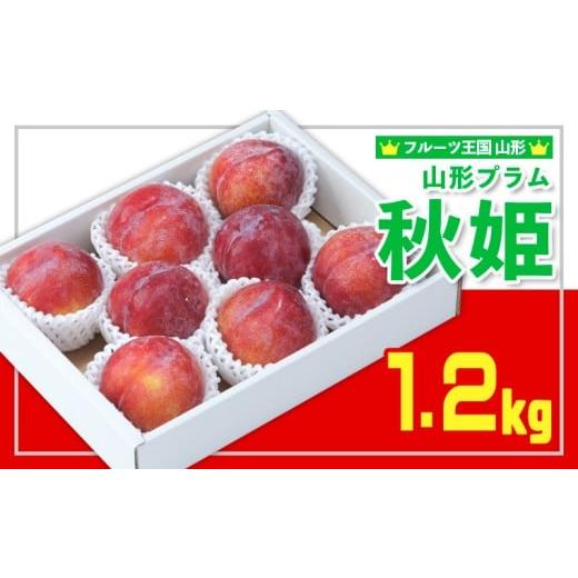 ふるさと納税 果物類 山形県 山形市 フルーツ王国山形 山形プラム(秋姫)1.2kg すもも 令和8年産先行予約 FS25-097