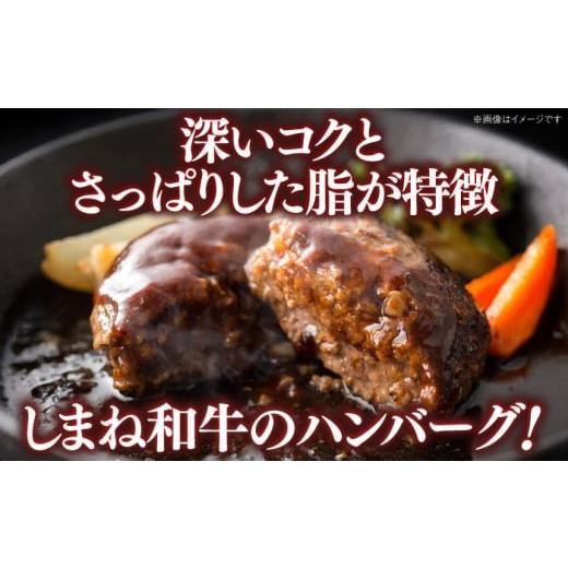 ふるさと納税 牛肉 ハンバーグ 島根県 雲南市 全6回定期便 しまね和牛ハンバーグ200g×3個 ハンバーグ しまね和牛 小分け 肉 肉厚 和牛 簡単調理 湯煎 人気 …_2