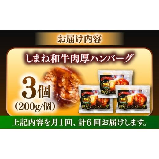 ふるさと納税 牛肉 ハンバーグ 島根県 雲南市 全6回定期便 しまね和牛ハンバーグ200g×3個 ハンバーグ しまね和牛 小分け 肉 肉厚 和牛 簡単調理 湯煎 人気 …_7