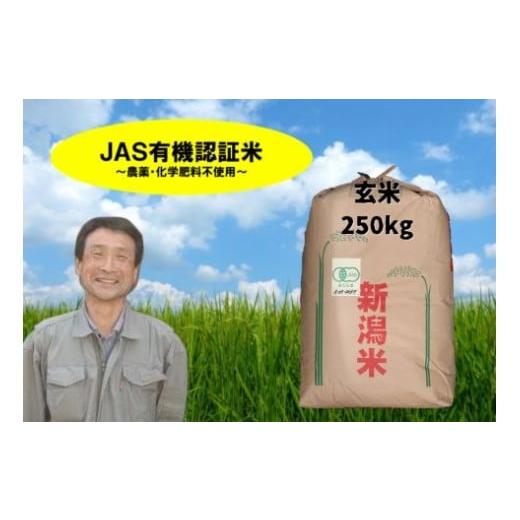 ふるさと納税 米 コシヒカリ 新潟県 阿賀野市 令和7年産新米 JAS有機認証米 コシヒカリ 玄米 250kg 精米も可 1G16001