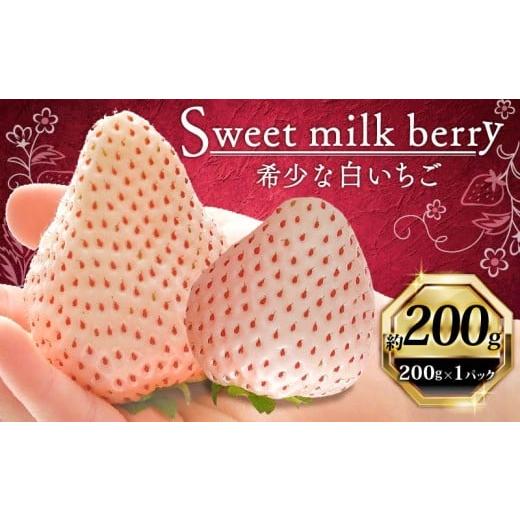 ふるさと納税 ぶどう 静岡県 牧之原市 いちご 白いちご 計 200g 計 1 パック 高級 白 イチゴ 苺 セット Sweet milk berry 1 パック 200g × 1 パック フルーツ…