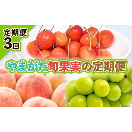 ふるさと納税 果物類 さくらんぼ 山形県 山形市 定期便3回 やまがた旬果実の定期便 令和8年産先行予約 FS25-092