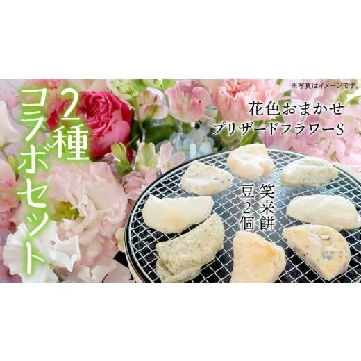 ふるさと納税 雑貨・日用品 花 茨城県 筑西市 筑西市 ふるさと納税限定 コラボ [ 季節のお花アレンジメントS ][ 笑来餅 2個 セット(白2個) ] アレンジ…