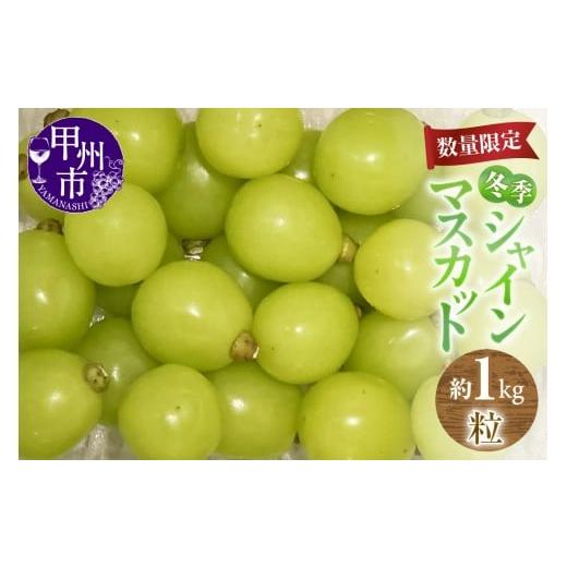 ふるさと納税 ぶどう マスカット 山梨県 甲州市 農家直送 冬季・数量限定 冬季シャインマスカット(粒つぶ)約1kg(ABE)B15-900 シャインマスカット 葡萄 ぶ…