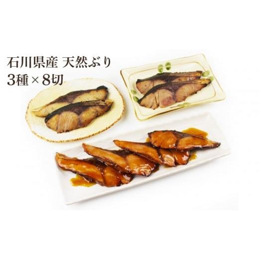 ふるさと納税 魚貝類 石川県 金沢市 石川県産 天然ぶり 3種×8切セット 肴の匠北珍 照焼 西京焼 酒粕焼 | ブリ 鰤 和食 お惣菜 冷凍 温めるだけ 簡単調理 酒の…