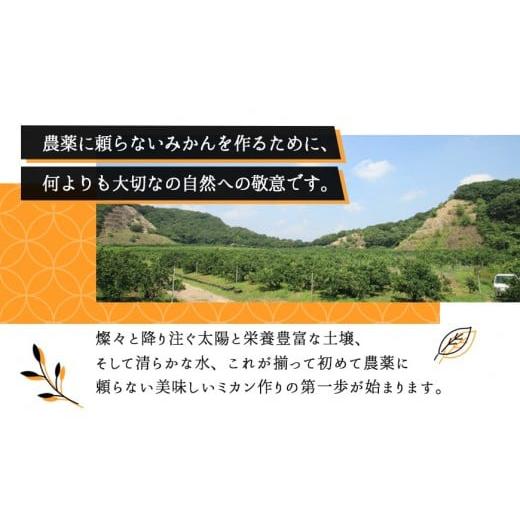 ふるさと納税 果汁飲料 みかん 和歌山県 印南町 みかんジュース 720ml×6本セット『紅俺ん路（べにおれんじ）』糖度12度以上100%ストレートの画像