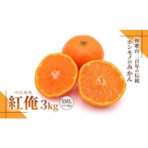 ふるさと納税 果物類 みかん 和歌山県 印南町 みかん『紅俺(べにおれ)』サイズSML混合 3kg [糖度12度〜14度未満]