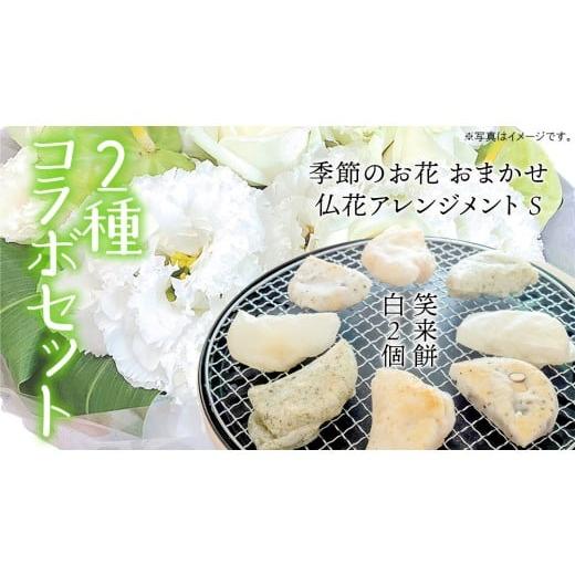 ふるさと納税 雑貨・日用品 花 茨城県 筑西市 筑西市 ふるさと納税限定 コラボ [ 季節のお花の仏花アレンジメントS ][ 笑来餅 2個 セット(白2個) ] ア…