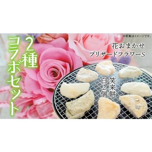 ふるさと納税 雑貨・日用品 花 茨城県 筑西市 筑西市 ふるさと納税限定 コラボ [ 花色 おまかせ プリザーブド フラワー S ][ 笑来餅 2個 セット(白2個) …