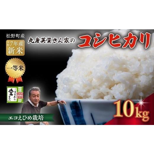 ふるさと納税 米 コシヒカリ 愛媛県 松野町 R7年産新米 一等米 丸身さん家のエコえひめ栽培コシヒカリ 10kg | 米 令和7年産 10kg 送料無料 国産 ふるさと納…