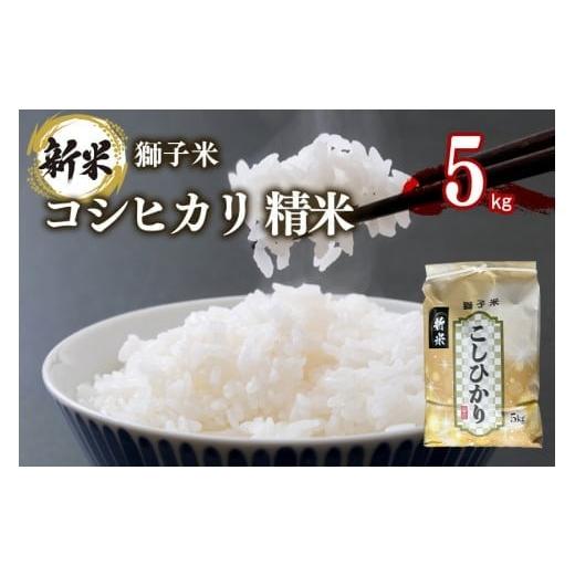 ふるさと納税 米 コシヒカリ 茨城県 石岡市 2月発送 獅子米 コシヒカリ 精米 5kg 岡田ファーム コンテスト受賞米 お米 白米 米 おこめ ブランド米 こしひかり…