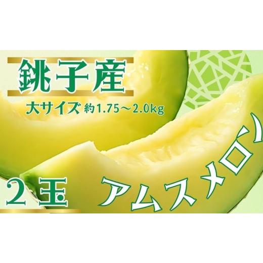 ふるさと納税 メロン メロン青肉 千葉県 銚子市 銚子産 アムスメロン 2玉 大サイズ (1玉約1.75〜2.0kg未満) 弥兵衛のアムスメロン メロン とろ甘16 青肉 果物…
