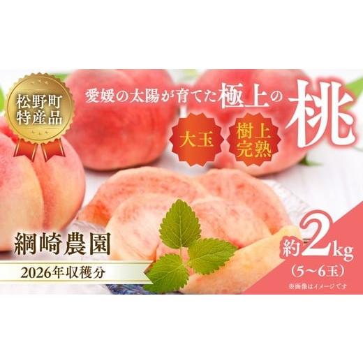 ふるさと納税 もも 愛媛県 松野町 2026年出荷分先行予約 愛媛の桃どころ 「綱崎農園」から届ける大玉桃 約2kg | ふるさと納税 桃 冷蔵 松野町 フルーツ ギフ…