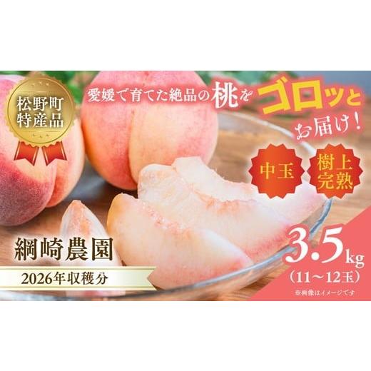 ふるさと納税 もも 愛媛県 松野町 2026年出荷分先行予約 愛媛の桃どころ 「綱崎農園」から届ける中玉桃 約3.5kg | ふるさと納税 桃 冷蔵 松野町 フルーツ ギ…