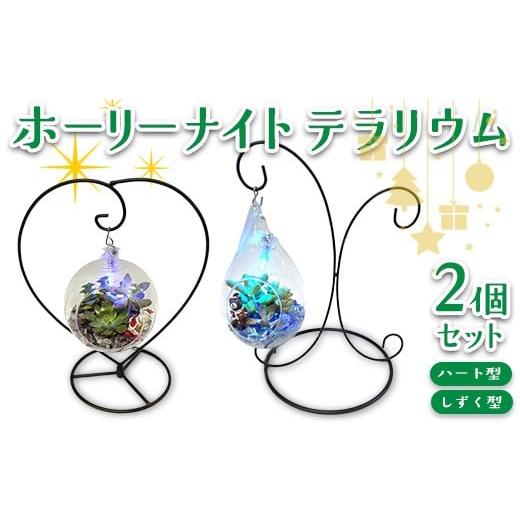 ふるさと納税 花・苗木 岐阜県 瑞穂市 ホーリーナイトテラリウム2個セット(ハート型、しずく型) 2025年12月中旬〜12月下旬頃に順次発送予定