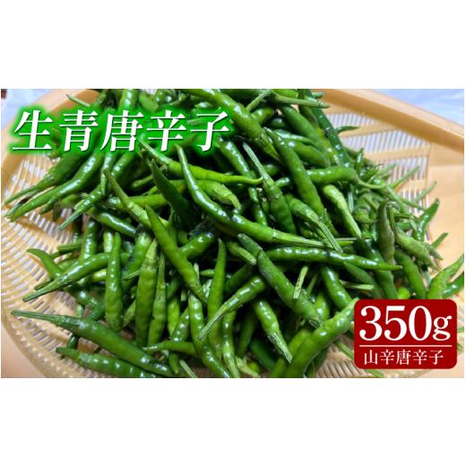 ふるさと納税 薬味・ハーブ 徳島県 吉野川市 生青唐辛子 山辛唐辛子 350g 青唐辛子 冷蔵 唐辛子 薬味 ゆず胡椒 香辛料 スパイス 調味料 激辛 徳島県 吉野川市…
