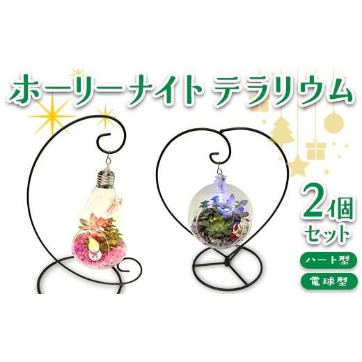 ふるさと納税 花・苗木 岐阜県 瑞穂市 ホーリーナイトテラリウム2個セット(ハート型、電球型) 2025年12月中旬〜12月下旬頃に順次発送予定