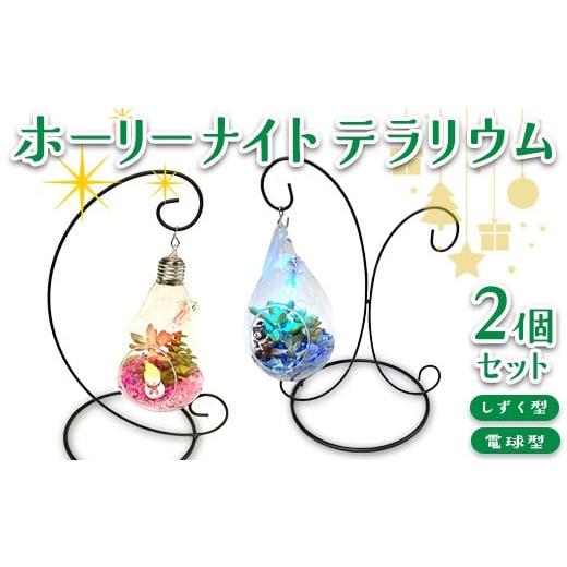 ふるさと納税 花・苗木 岐阜県 瑞穂市 ホーリーナイトテラリウム2個セット(しずく型、電球型) 2025年12月中旬〜12月下旬頃に順次発送予定
