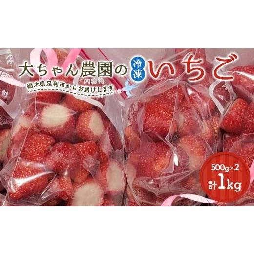 ふるさと納税 いちご 栃木県 足利市 栃木のブランドとちあいか 大ちゃん農園の冷凍いちご1kg(500g×2袋) いちご イチゴ 苺 デザート フルーツ 果物 くだもの …