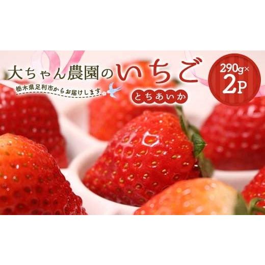 ふるさと納税 いちご 栃木県 足利市 いちごの県フレッシュいちご 大ちゃん農園のいちご(とちあいか)290g×2パック いちご イチゴ 苺 デザート フルーツ 果物 …