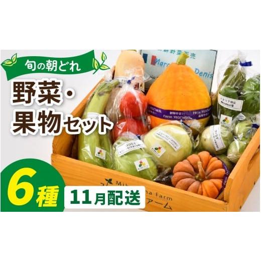 ふるさと納税 セット・詰合せ 福井県 永平寺町 朝どれ 旬な野菜 果物セット 6種類セット 1回単発便 お届け月11月 / 農薬・化学肥料不使用 6種類セット 11月発…