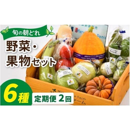 ふるさと納税 セット・詰合せ 福井県 永平寺町 朝どれ 旬な野菜 果物セット 6種類セット 2回定期便 お届け対象月 5月,8月,11月 / 農薬・化学肥料不使用 6種類…