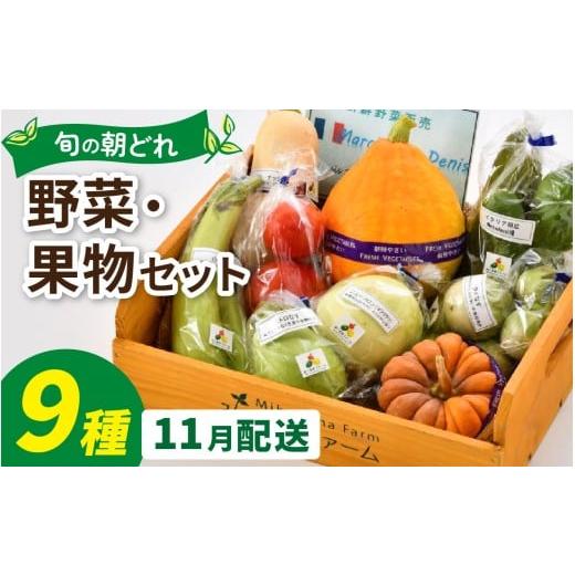 ふるさと納税 セット・詰合せ 福井県 永平寺町 朝どれ 旬な野菜 果物セット 9種類セット 1回単発便 お届け月11月 / 農薬・化学肥料不使用 9種類セット 11月お…