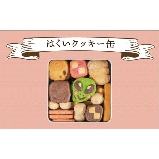 ふるさと納税 焼菓子・チョコレート クッキー 石川県 羽咋市 クッキー 10種 48枚 詰め合わせ 焼菓子 セット クッキー缶 お菓子 おかし 菓子 洋菓子 おやつ ス…