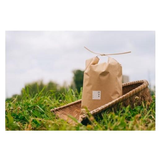 ふるさと納税 玄米 奈良県 奈良市 ヒノヒカリ 20kg 令和7年産 冷めても