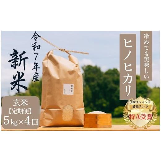 ふるさと納税 米 ヒノヒカリ 奈良県 奈良市 定期便 新米 ヒノヒカリ 玄米 5kg×4回コース 令和7年産 冷めても美味しい 米 お米 ごはん ご飯 ブランド米 ひの…