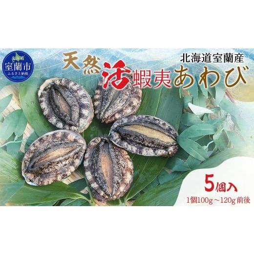 ふるさと納税 魚貝類 アワビ 北海道 室蘭市 北海道室蘭産 天然活蝦夷あわび 5個入(1個100g〜120g前後)(2025年11月下旬頃お届け) ふるさと納税 人気 おすす…