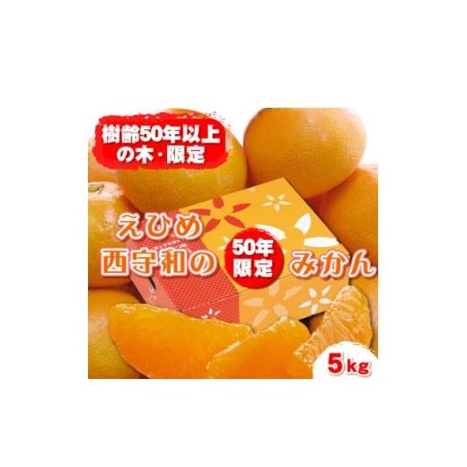 ふるさと納税 果物類 みかん 愛媛県 八幡浜市 みさき果樹園の段々畑育ち 西宇和産みかん5kg C21-47 1676920