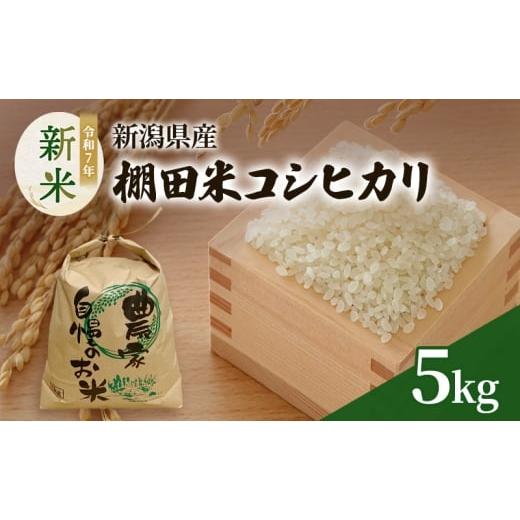 ふるさと納税 米 コシヒカリ 新潟県 上越市 新米 令和7年 新潟県産 棚田米 コシヒカリ 5kg 5キロ 米 上越市 清里区 厳選 こしひかり 白米 精米