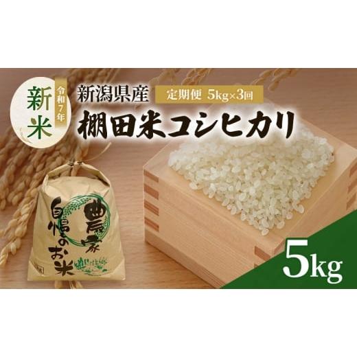 ふるさと納税 米 コシヒカリ 新潟県 上越市 定期便5kg×3袋(計15kg)新米 令和7年 新潟県産 棚田米 コシヒカリ 5kg 5キロ 米 上越市 清里区 厳選 こしひかり …