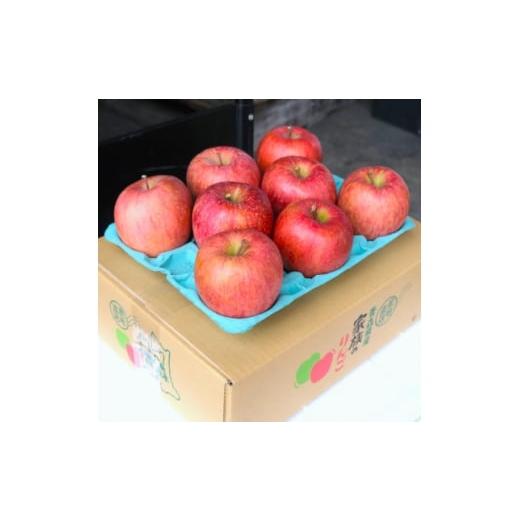 ふるさと納税 りんご 青森県 青森市 2025年12月発送予定 糖度13度以上保証 サンふじおもてなし用約3kg(6〜18玉) 1682180