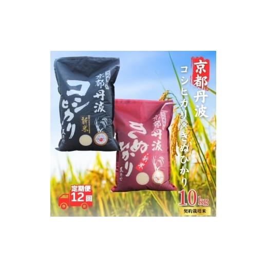 ふるさと納税 米 コシヒカリ 京都府 南丹市   12カ月定期便 令和7年産 新米 京都丹波産 こしひかり・きぬひかり 食べ比べセット 10kg 合計120kg